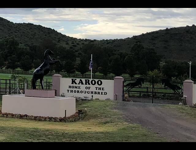 471HA FARM FOR SALE IN MIDDELBURG RURAL